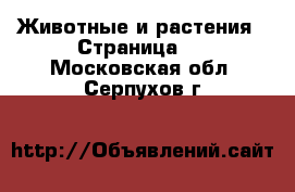  Животные и растения - Страница 2 . Московская обл.,Серпухов г.